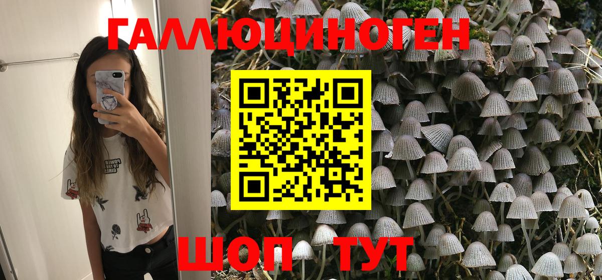 Псилоцибиновые грибы Psilocybine cubensis Каменка