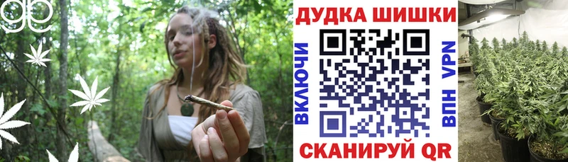 продажа наркотиков  Каменка  Бошки марихуана конопля 